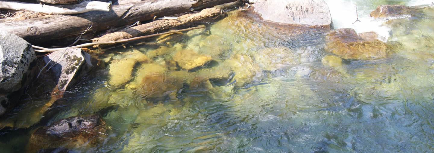 pond